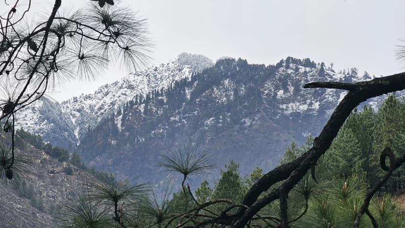 Tirthan - Jibhi - Jaloriimage